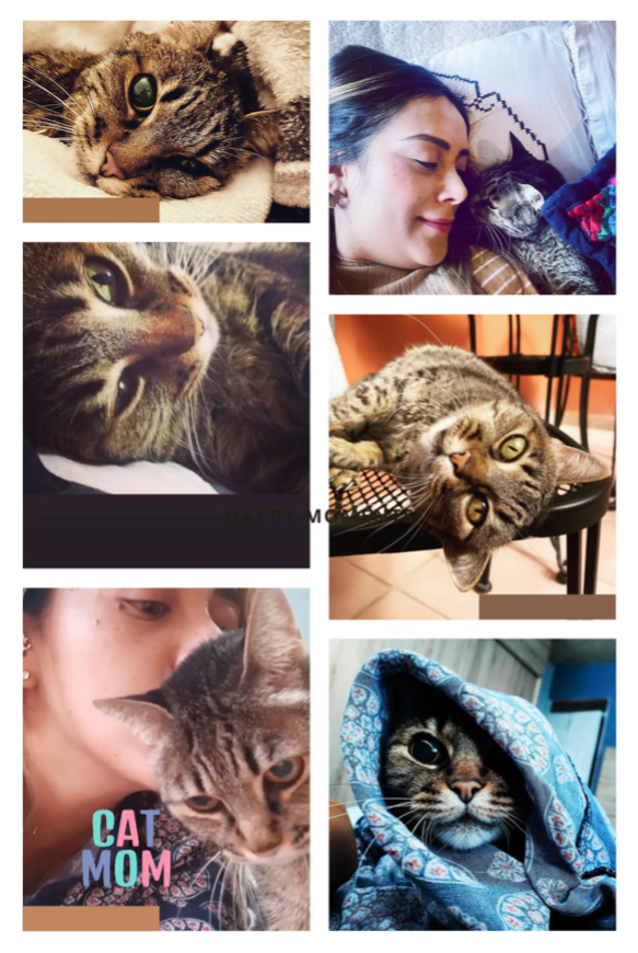 Piky - María Nayely García Torres