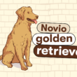 ¿Cómo es un Novio "Golden Retriever"? Con 15 ejemplos fáciles 11 | Casi Creativos ¿Cómo es un novio golden retriever?