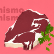 ¿Qué es el carnismo? Cuestiona la carne que comes. 11 | Casi Creativos Carnismo